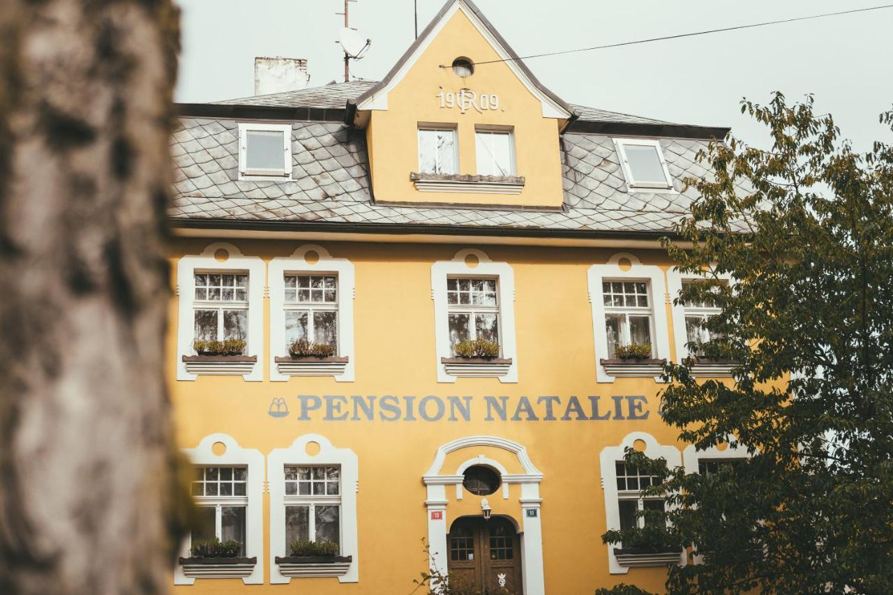 Apartmány Natálie Františkovy Lázně Kültér fotó