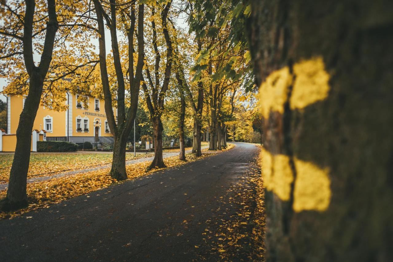Apartmány Natálie Františkovy Lázně Kültér fotó