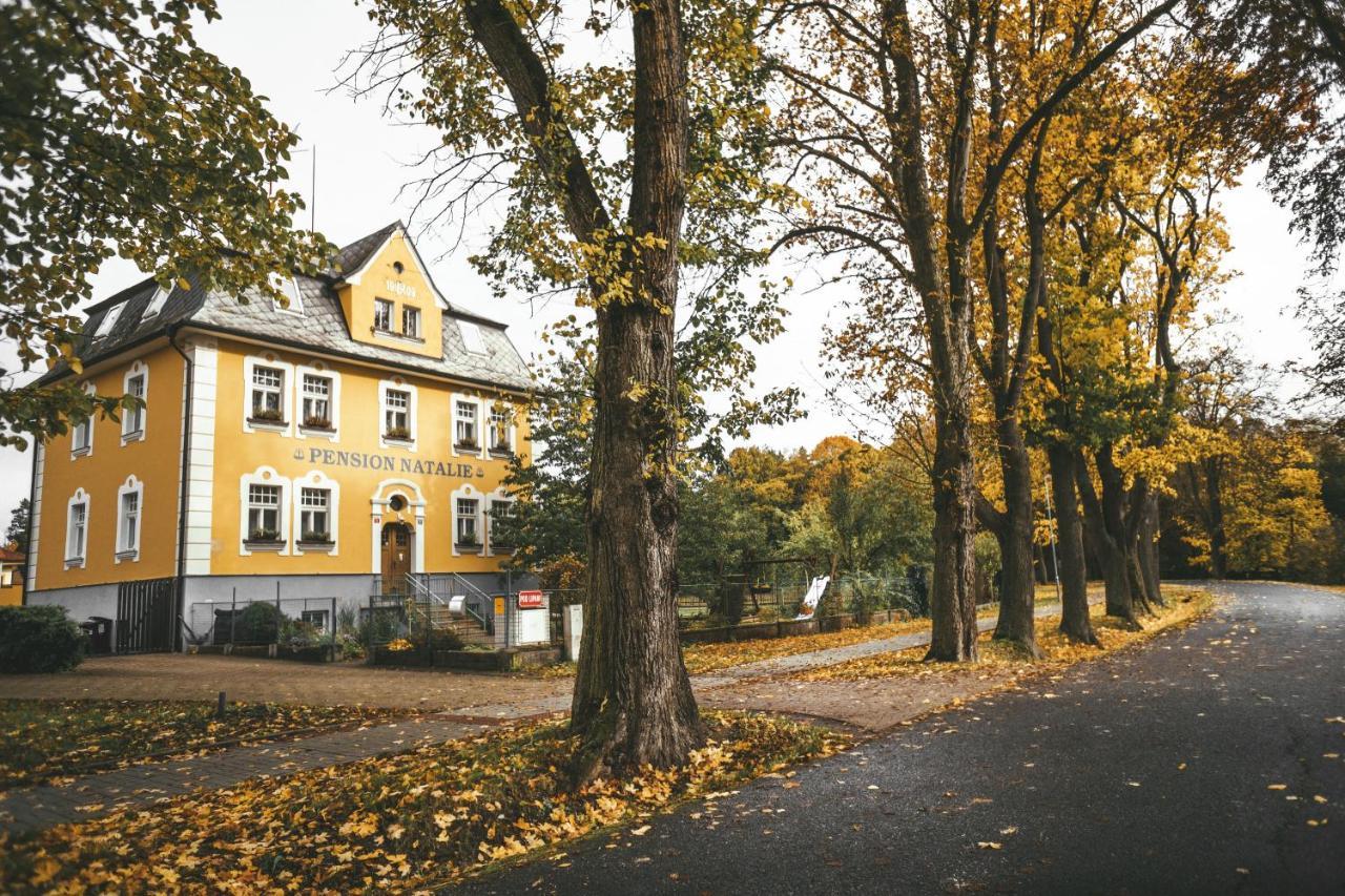 Apartmány Natálie Františkovy Lázně Kültér fotó