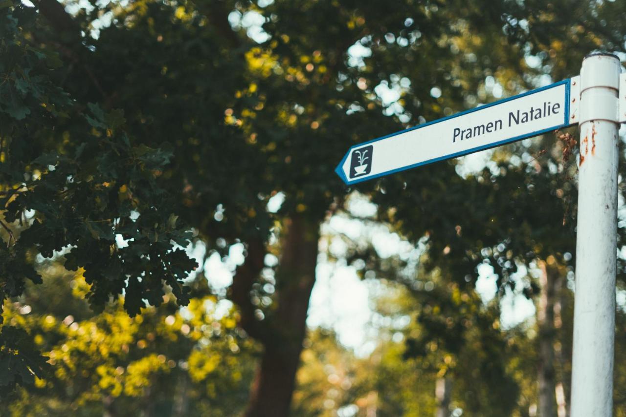 Apartmány Natálie Františkovy Lázně Kültér fotó