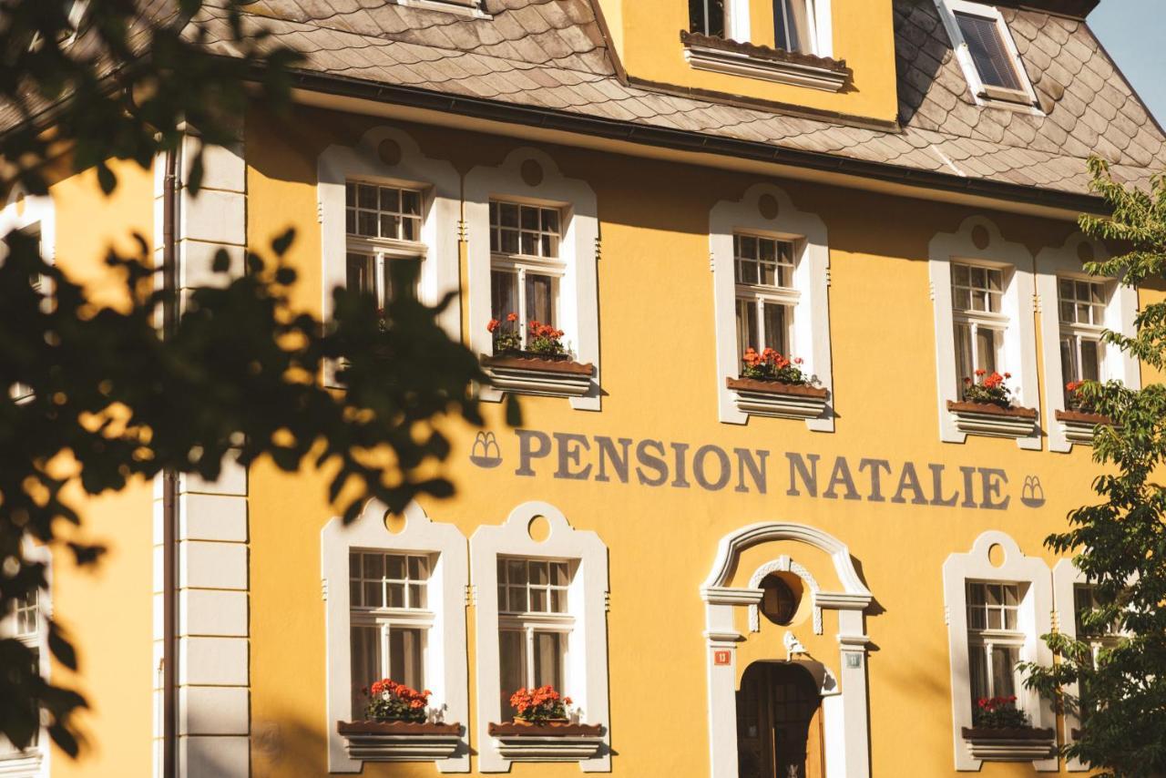 Apartmány Natálie Františkovy Lázně Kültér fotó